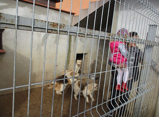 Wycieczka do schroniska dla zwierząt w Małoszycach.