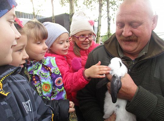 Wycieczka do schroniska dla zwierząt w Małoszycach.