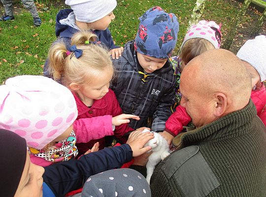 Wycieczka do schroniska dla zwierząt w Małoszycach.