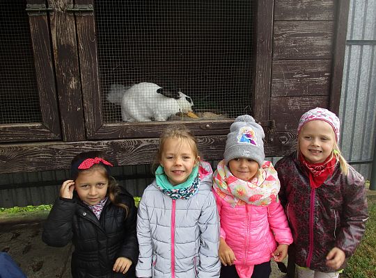 Wycieczka do schroniska dla zwierząt w Małoszycach.