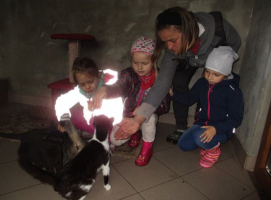 Wycieczka do schroniska dla zwierząt w Małoszycach.