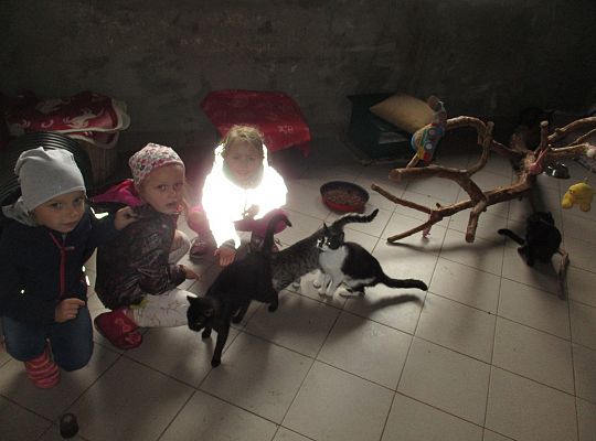 Wycieczka do schroniska dla zwierząt w Małoszycach.