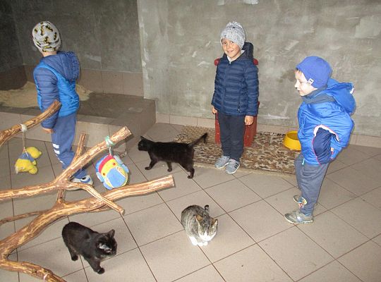 Wycieczka do schroniska dla zwierząt w Małoszycach.