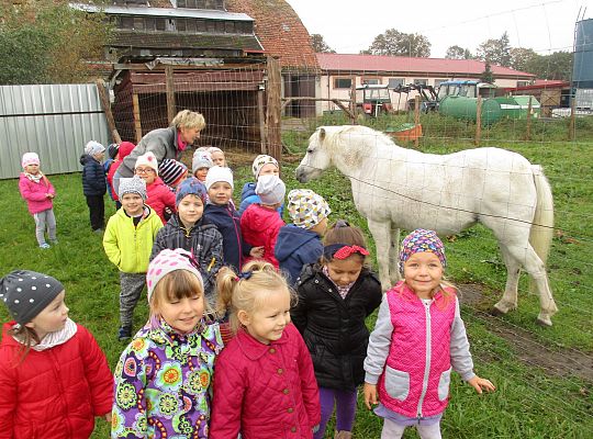Wycieczka do schroniska dla zwierząt w Małoszycach.