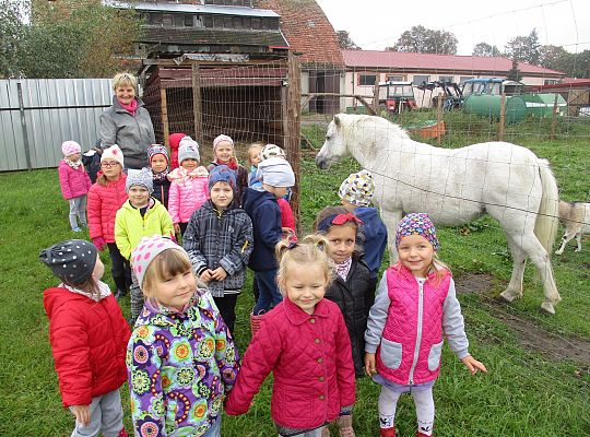 Wycieczka do schroniska dla zwierząt w Małoszycach.
