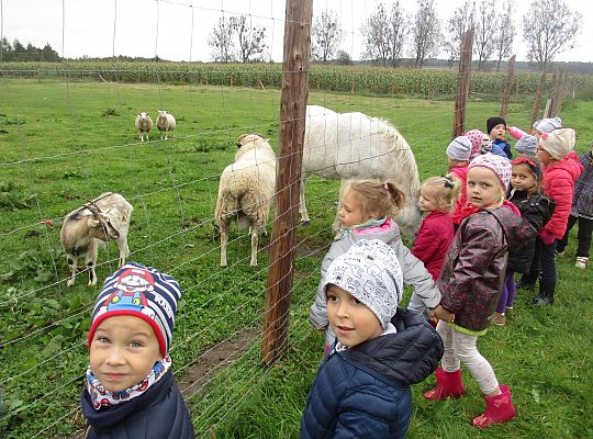 Wycieczka do schroniska dla zwierząt w Małoszycach.