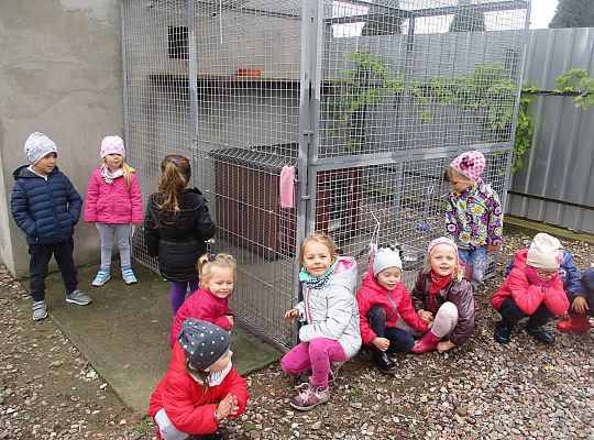 Wycieczka do schroniska dla zwierząt w Małoszycach.