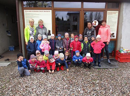 Wycieczka do schroniska dla zwierząt w Małoszycach.