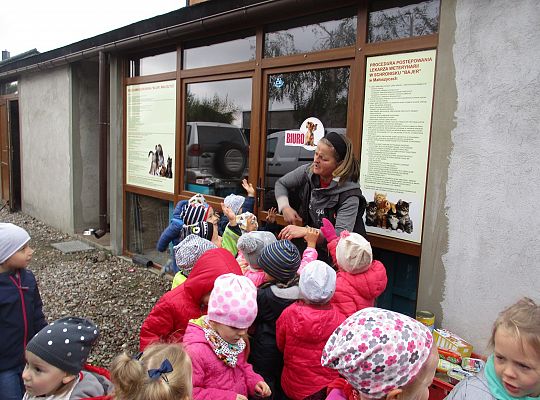 Wycieczka do schroniska dla zwierząt w Małoszycach.