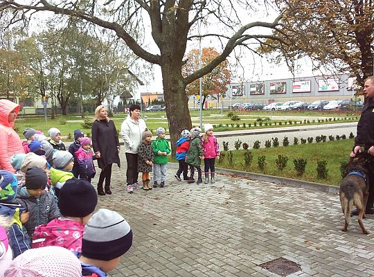 Wizyta w Komendzie Policji-spotkanie z psem