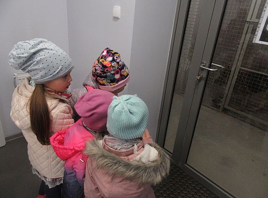 Wizyta w Komendzie Policji-spotkanie z psem