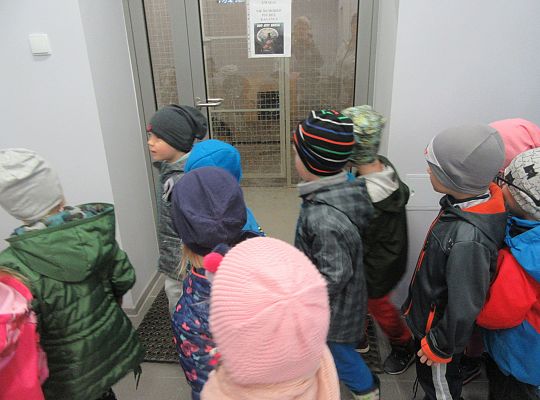 Wizyta w Komendzie Policji-spotkanie z psem