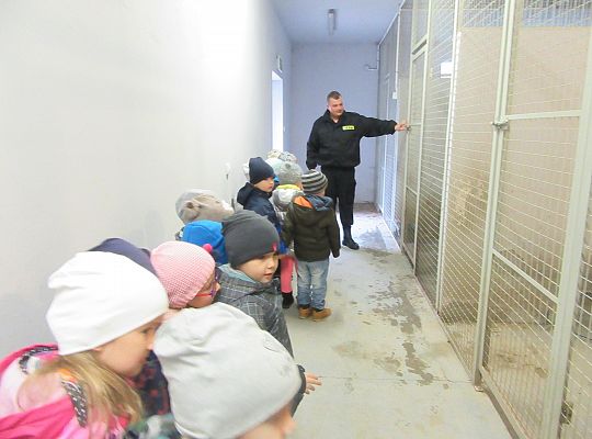 Wizyta w Komendzie Policji-spotkanie z psem