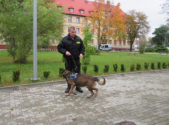 Wizyta w Komendzie Policji-spotkanie z psem