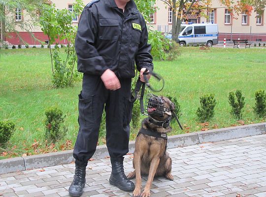 Wizyta w Komendzie Policji-spotkanie z psem