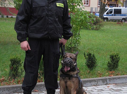 Wizyta w Komendzie Policji-spotkanie z psem