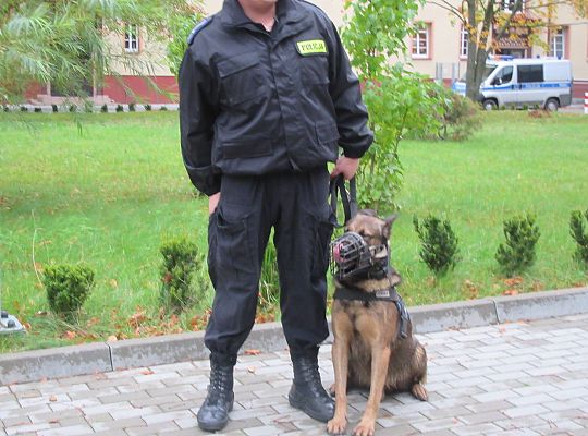 Wizyta w Komendzie Policji-spotkanie z psem