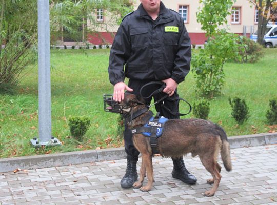 Wizyta w Komendzie Policji-spotkanie z psem