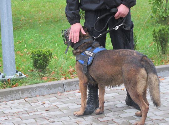 Wizyta w Komendzie Policji-spotkanie z psem