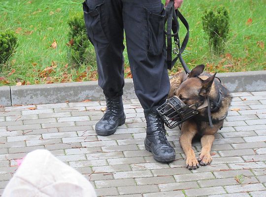 Wizyta w Komendzie Policji-spotkanie z psem