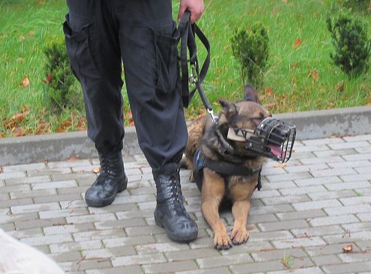 Wizyta w Komendzie Policji-spotkanie z psem
