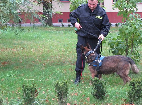 Wizyta w Komendzie Policji-spotkanie z psem