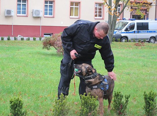 Wizyta w Komendzie Policji-spotkanie z psem