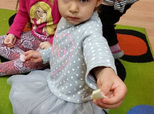 Poznajemy warzywa gr I