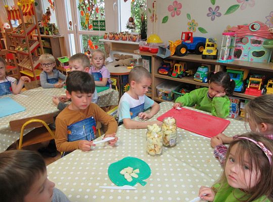 Robimy kompoty i sałatki owocowe gr III