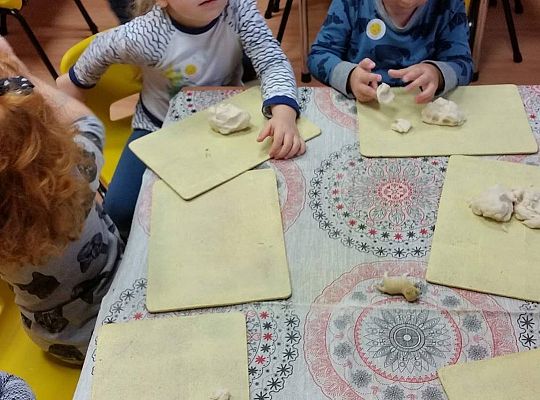 Robimy warzywa z masy solnej gr I