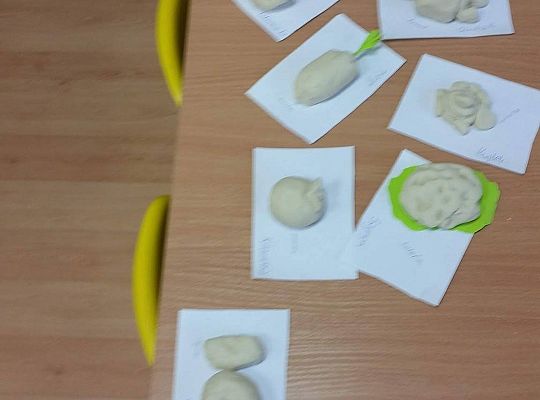 Robimy warzywa z masy solnej gr I