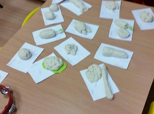 Robimy warzywa z masy solnej gr I