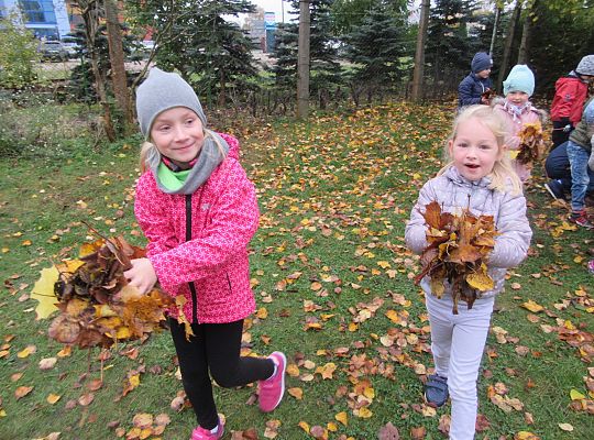 My pomagamy  i przedszkolny ogród sprzątamy