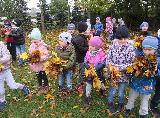 My pomagamy  i przedszkolny ogród sprzątamy