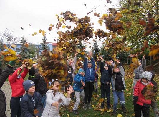 My pomagamy  i przedszkolny ogród sprzątamy