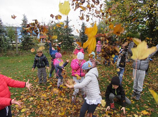 My pomagamy  i przedszkolny ogród sprzątamy