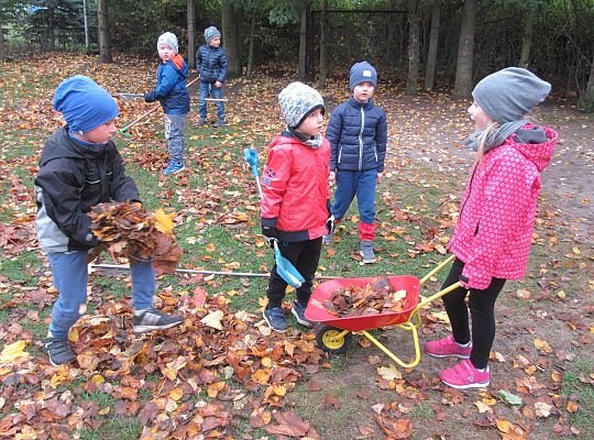 My pomagamy  i przedszkolny ogród sprzątamy