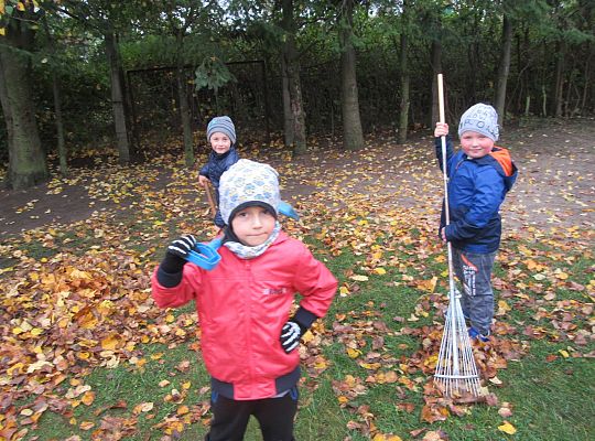 My pomagamy  i przedszkolny ogród sprzątamy