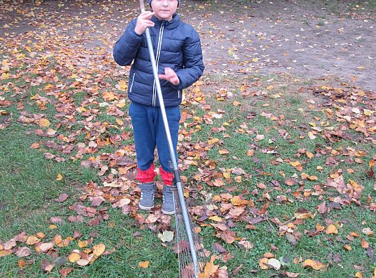 My pomagamy  i przedszkolny ogród sprzątamy