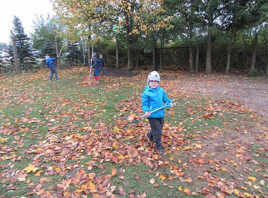 My pomagamy  i przedszkolny ogród sprzątamy