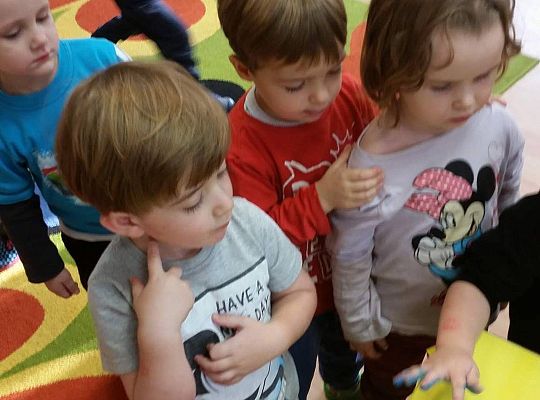 Gwiazdy naszej telewizji