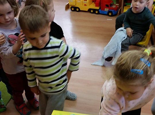 Gwiazdy naszej telewizji