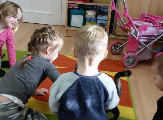 Poznajemy zwierzęta domowe, wizyta Pani ze schroniska