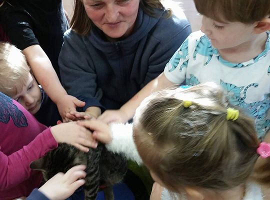 Poznajemy zwierzęta domowe, wizyta Pani ze schroniska