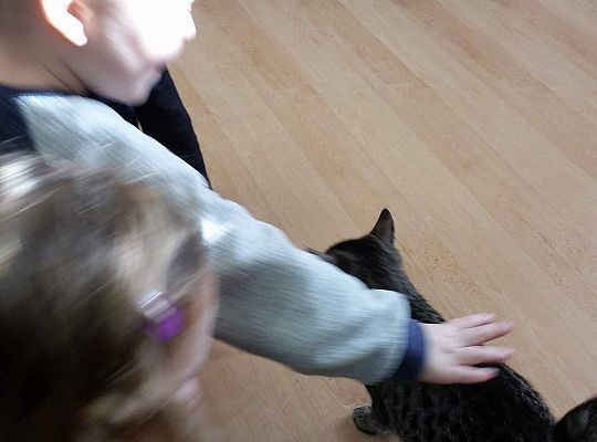 Poznajemy zwierzęta domowe, wizyta Pani ze schroniska