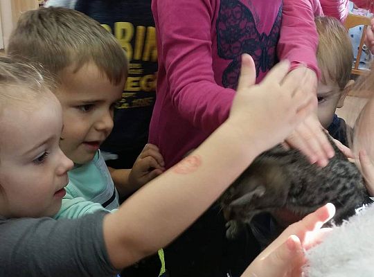 Poznajemy zwierzęta domowe, wizyta Pani ze schroniska