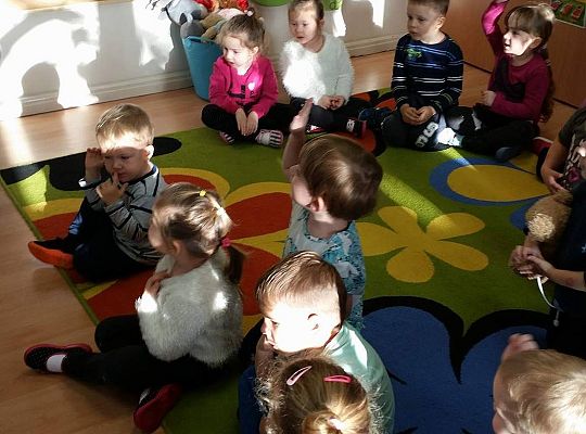 Poznajemy zwierzęta domowe, wizyta Pani ze schroniska