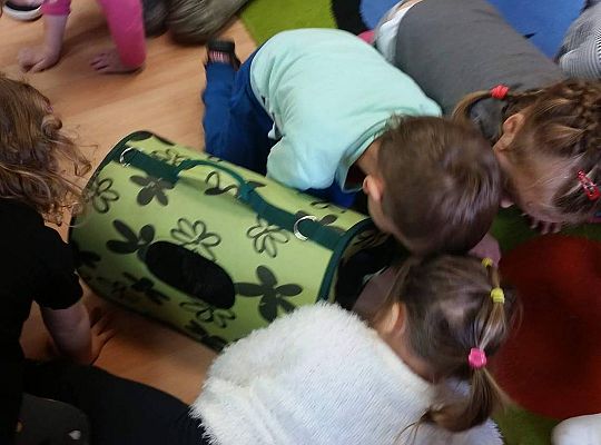 Poznajemy zwierzęta domowe, wizyta Pani ze schroniska