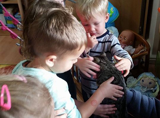 Poznajemy zwierzęta domowe, wizyta Pani ze schroniska