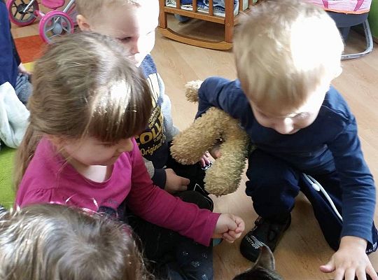 Poznajemy zwierzęta domowe, wizyta Pani ze schroniska